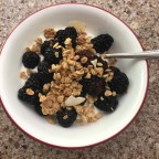 Greek Yogurt with Fruit and Granola
